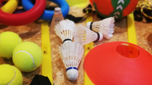 Verschiedene Trainigsutensilien (Tennis + Feder/Handbälle, Hütchen und Ringe)